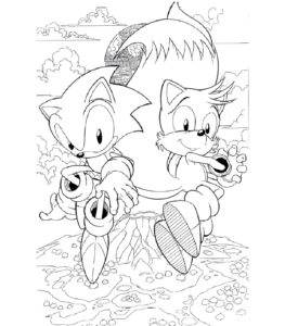 Desenho do tails e Sonic para imprimir e colorir