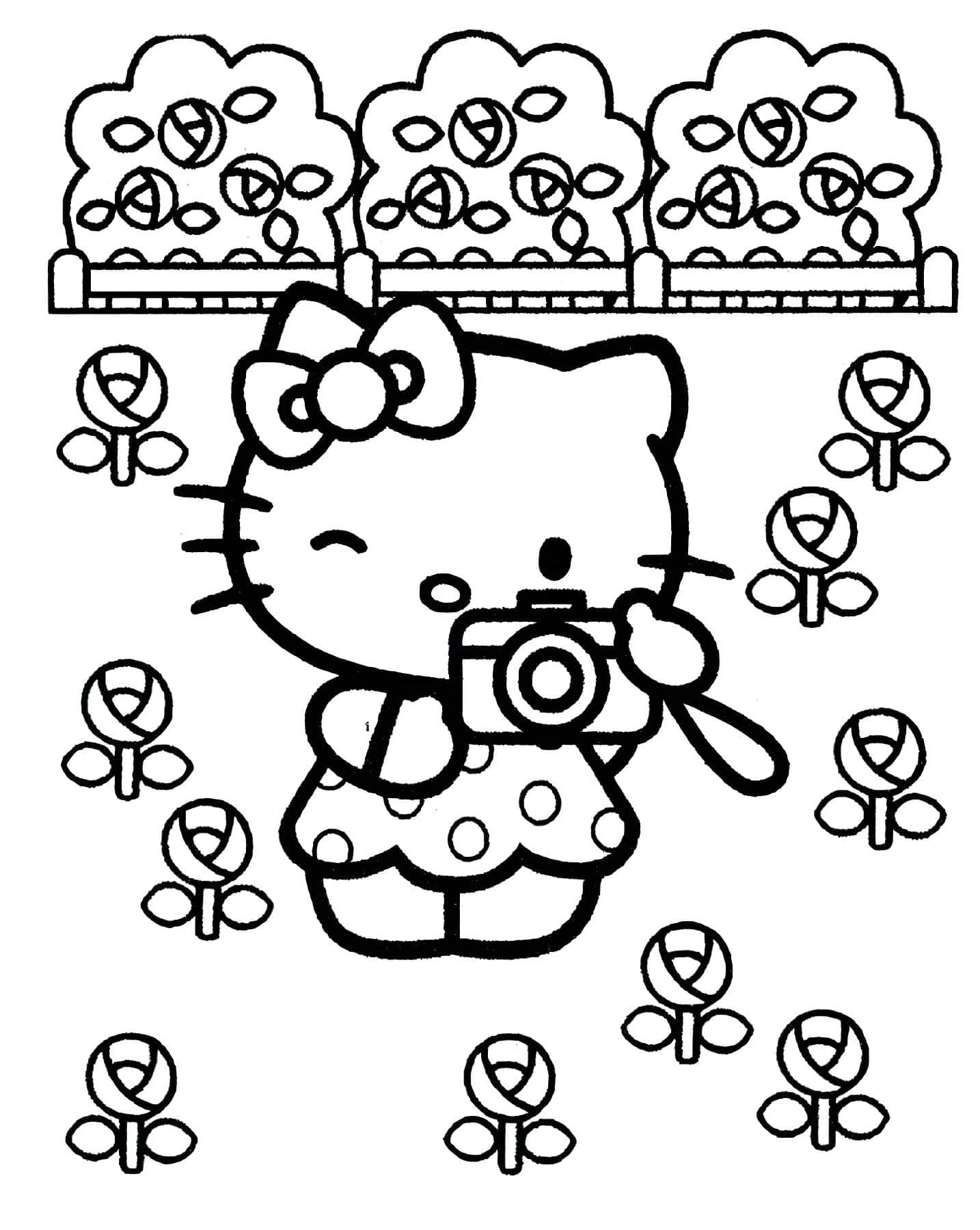 Imagem da hello kitty tirando fotos para colorir